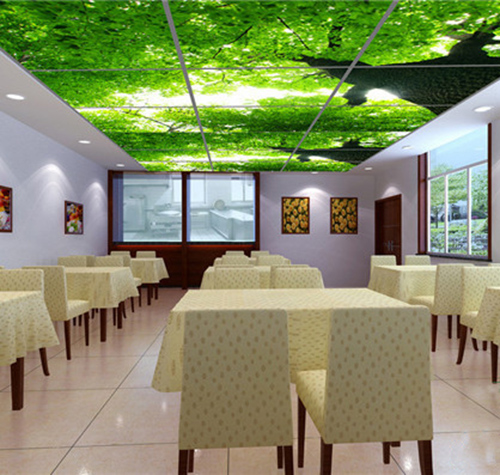 PAINTED LED PANEL LIGHT