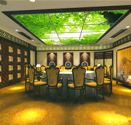 PAINTED LED PANEL LIGHT